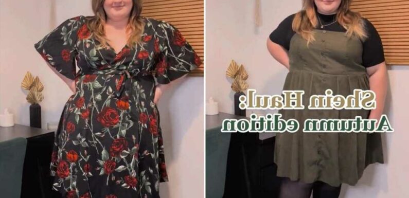 I’m plus size and I got a gorgeous autumn haul of dresses from Shein Curve – I’m now set to look stylish this winter | The Sun