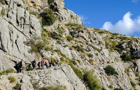 Irish woman, 75, falls 60ft to her death from Majorca cliff path