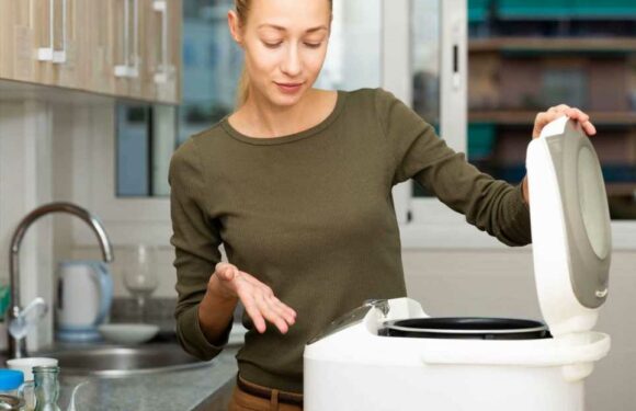 Is it cheaper to use an air fryer, slow cooker, oven or a microwave? | The Sun