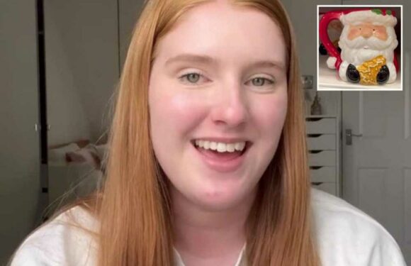 I'm a bargain hunter – and here are the best Christmas bits in The Range right now | The Sun