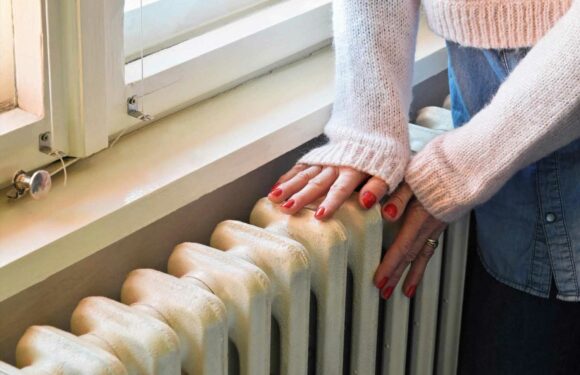 I'm a bills expert – simple radiator tricks to help keep heating costs down this winter | The Sun