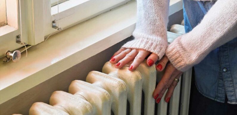 I'm a bills expert – simple radiator tricks to help keep heating costs down this winter | The Sun