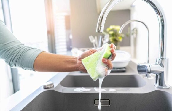 I'm a cleaning expert and you've been washing your dishes all wrong – the exact amount of washing up liquid is key | The Sun