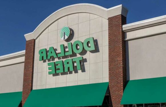 I'm a cleaning lady – the Dollar Tree products I can't live without and the items I prefer to get at Walmart and Target | The Sun