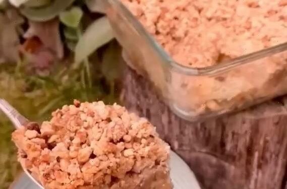 I'm a foodie and here's how to make a delicious apple crumble in your Air Fryer | The Sun