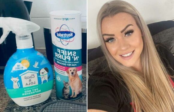 I'm a mum & cleaning whizz – how to get rid of the smell of sick and the secret weapon to pick up in the pet aisle | The Sun