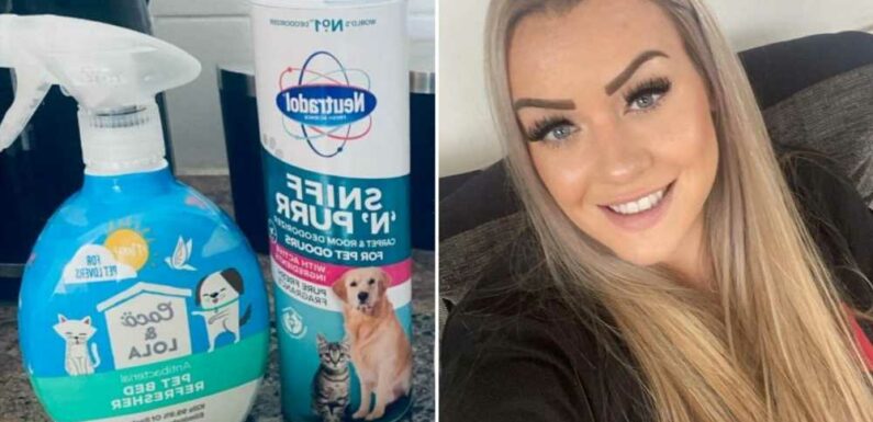 I'm a mum & cleaning whizz – how to get rid of the smell of sick and the secret weapon to pick up in the pet aisle | The Sun