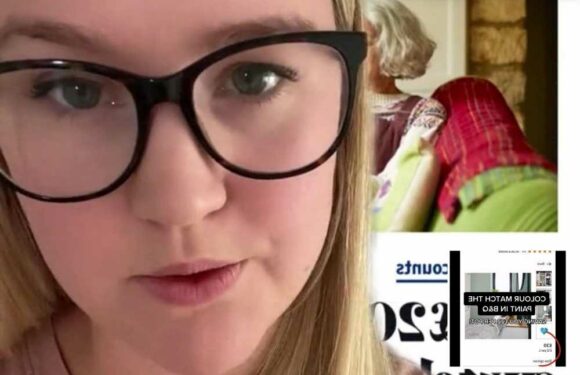 I'm a pro-bargain-hunter – here's how to get the Farrow & Ball look in your home without the £50 price tag for paint | The Sun