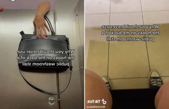 I'm a safety expert – why you should NEVER hang your bags on the hook on the back of a public toilet door | The Sun