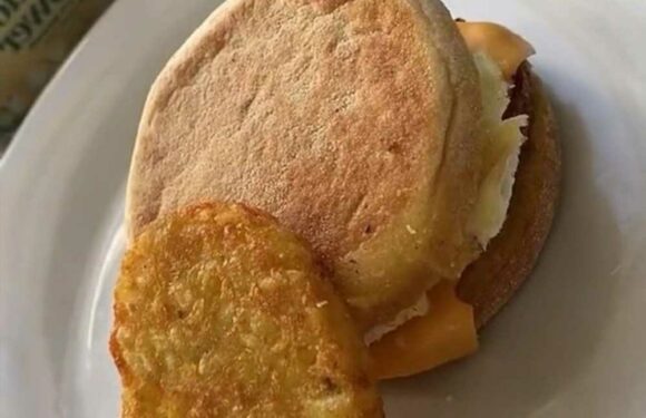 I'm a savvy mum & make my own McDonald's breakfast using an Air Fryer & food from Aldi, the kids love it & it's so cheap | The Sun