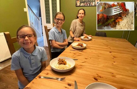 I'm a savvy mum and I feed my entire family homemade meals for as little as 62p – here's exactly how I do it | The Sun