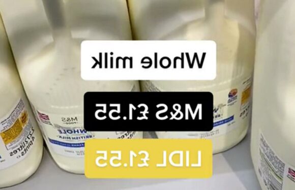 I'm a savvy shopper, I went to Lidl and M&S to compare prices & couldn't believe what I discovered | The Sun