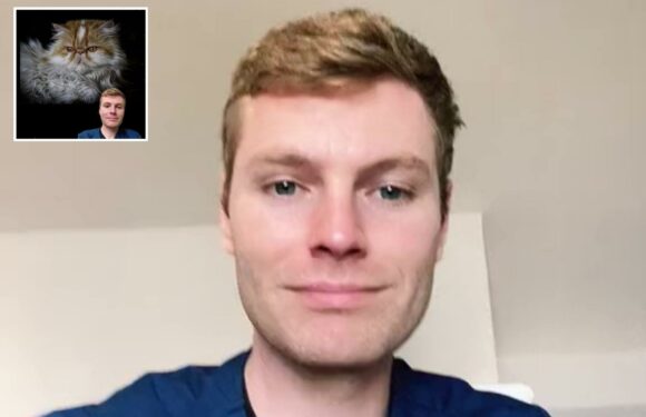 I'm a vet and there are four cat breeds I'd never own – one of them is way too aggressive | The Sun