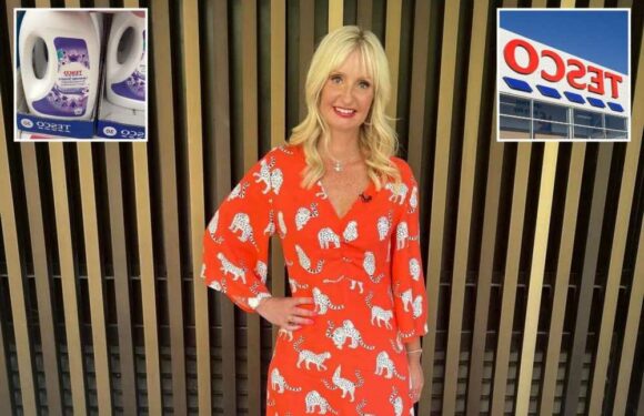 I'm the Queen of Clean – the Tesco own-brand swaps I always do – they save so much money and prices start from just 49p | The Sun