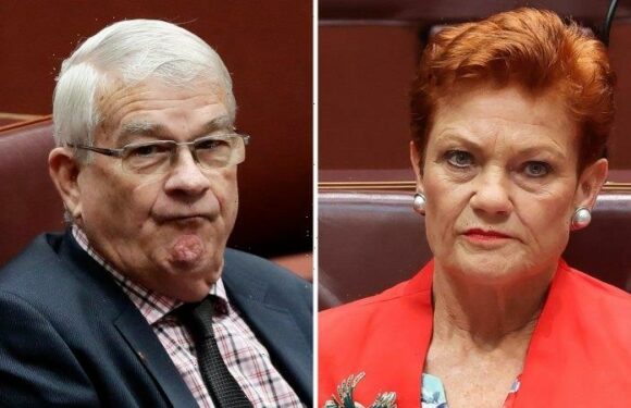 Judge orders Pauline Hanson pay $250,000 to former senator who harassed staff