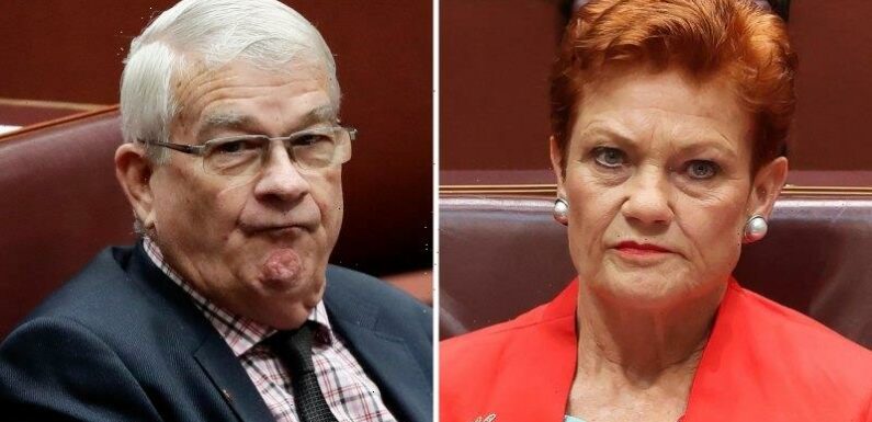 Judge orders Pauline Hanson pay $250,000 to former senator who harassed staff