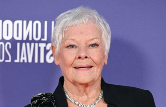 Judi Dench, 87, showcases her chic style at BFI film festival