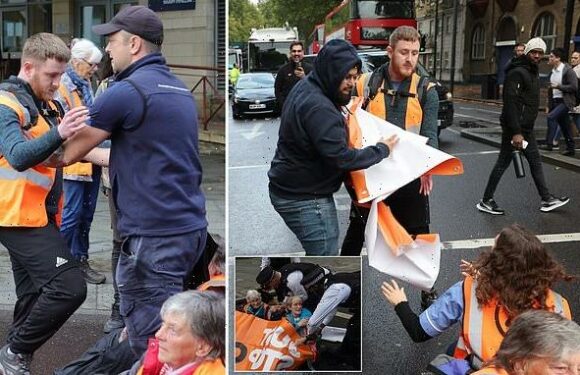Just Stop Oil activists are arrested by police in South London