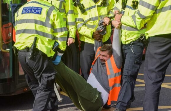 Just Stop Oil pays its activists to protest and clog up Britain's roads as they're bankrolled by mega-rich | The Sun