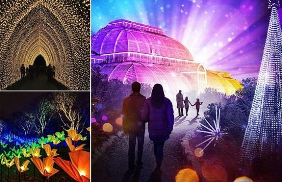 Kew Gardens in Christmas lights row as it uses biofuel for display