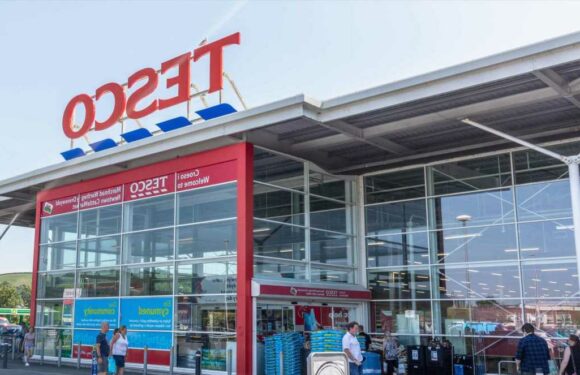 Kids can eat free in Tesco over October half-term – but there's a catch | The Sun