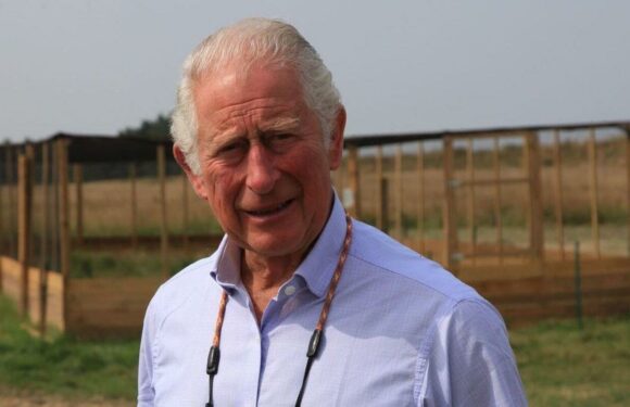 King Charles Rumored to Be Crowned in Smaller, Shorter Ceremony on June 3