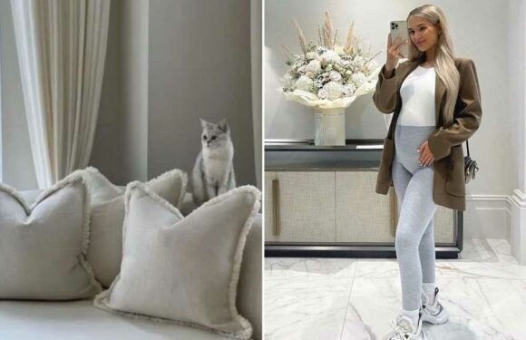 Knowing parents all say the same thing about pregnant Molly-Mae’s immaculate mansion as she shows off new furniture | The Sun