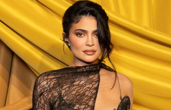 Kylie Jenner’s Sheer Cutout Look Is a Dress and Catsuit in One