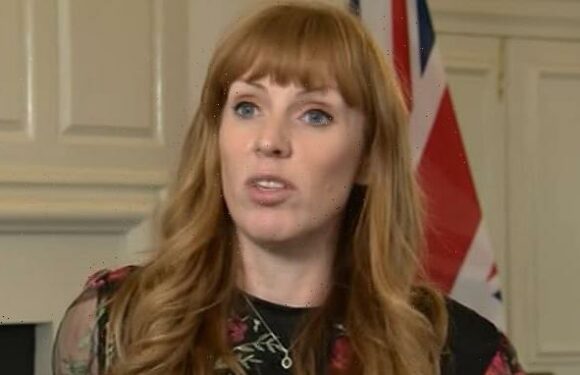 Labour's Angela Rayner accuses Tories of 'doling out PMs every month'