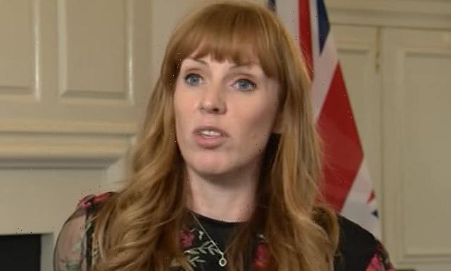 Labour's Angela Rayner accuses Tories of 'doling out PMs every month'
