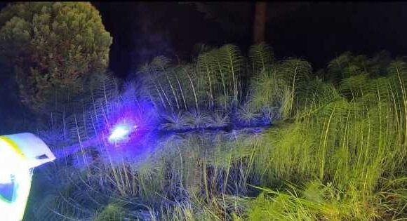 Laser-powered lawnmower can blitz grass in seconds – or ‘blind you for life’