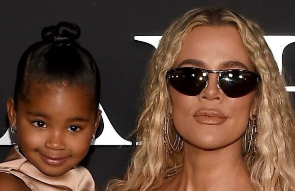 Lil Bro! Khloe Kardashian Shares Halloween Photo of True Holding New Baby