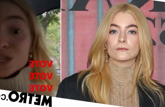 Lorde forced to delete Instagram post after breaking election rules