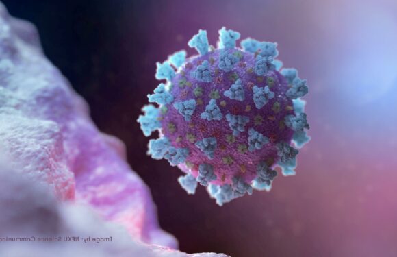 Major change to common Covid symptoms you need to know – the full list of 20 revealed | The Sun