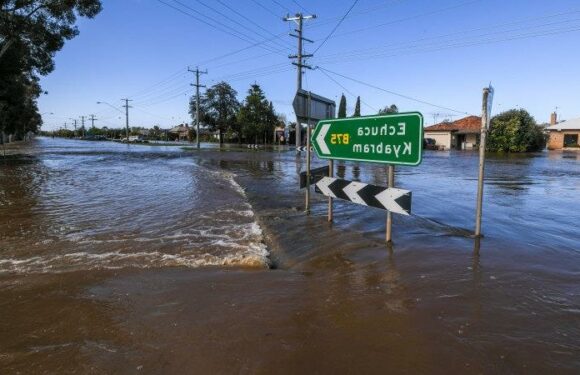 Man found dead in inundated Rochester as Shepparton, Echuca brace for flooding