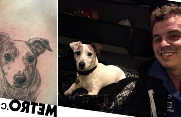 Man gets tattoo portrait of beloved dog using the pooch's ashes