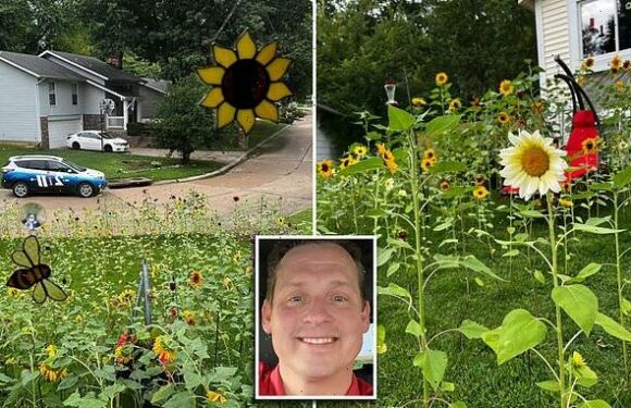 Man to pay $400 fine for having too many sunflowers in his yard