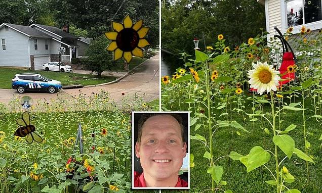 Man to pay $400 fine for having too many sunflowers in his yard