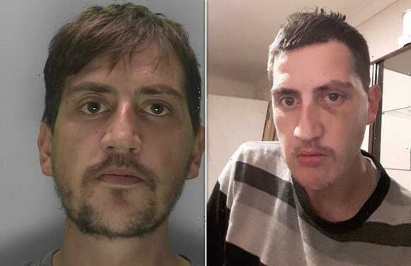 Man who dressed as a woman and tried to have sex with a dog is jailed