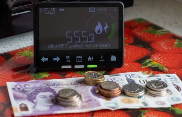 Martin Lewis’ MoneySavingExpert warns about prepayment meter energy direct debit loophole | The Sun