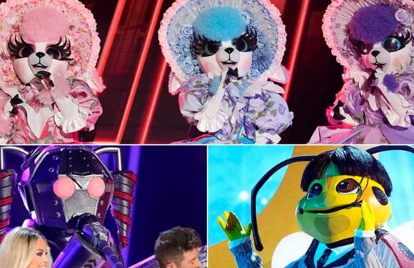 Masked Singer Reveals Legendary Talk Show Host — Plus, Nicole Scherzinger Fails to ID Close Friend