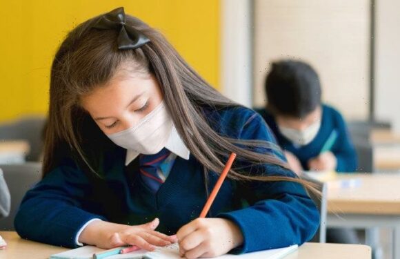 Masks no longer needed for Victorian schools