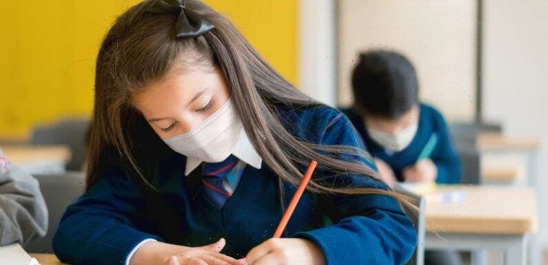 Masks no longer needed for Victorian schools
