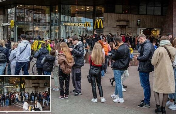 McDonald's reopens branches in Ukraine seven months after invasion