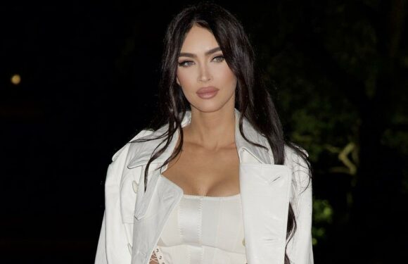 Megan Fox Stuns in a Lace-Up Crop Top and Front-Slit Pants