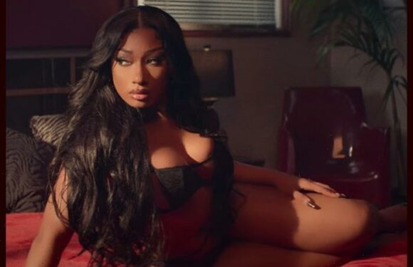 Megan Thee Stallion Launches Website Providing Mental Health Resources