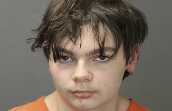 Michigan school shooter Ethan Crumbley, 16, to plead GUILTY