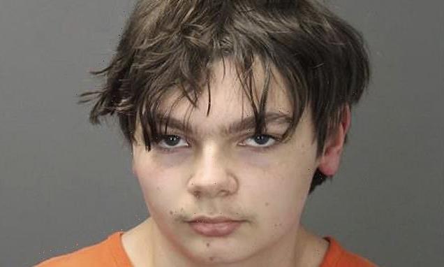 Michigan school shooter Ethan Crumbley, 16, to plead GUILTY
