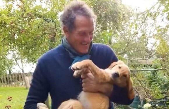 Monty Dons fans issue warning at clip of Gardeners World stars pup