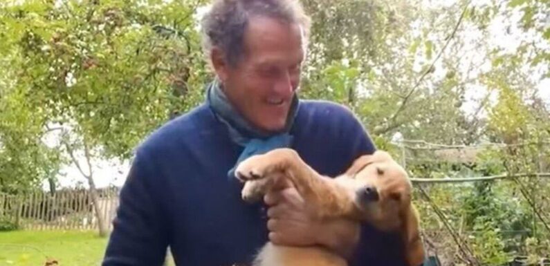 Monty Dons fans issue warning at clip of Gardeners World stars pup
